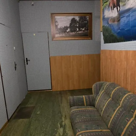 Apartment W Centrum Zabkowic Slaskich Z Dwoma Sypialniami *